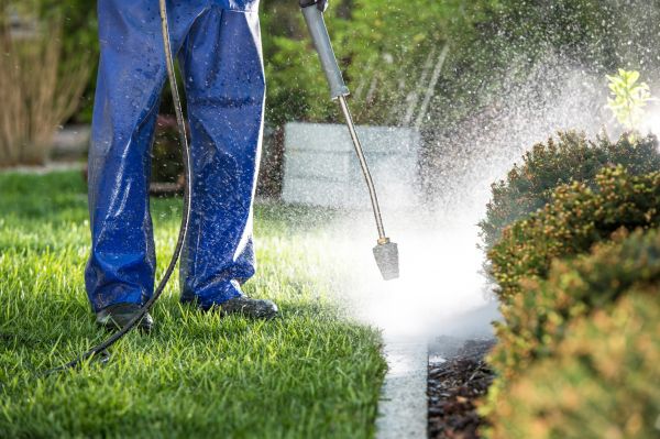 Cost of Curb Cleaning in Renton