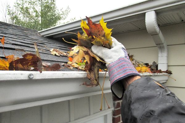 Cost of Eaves Cleaning in Renton